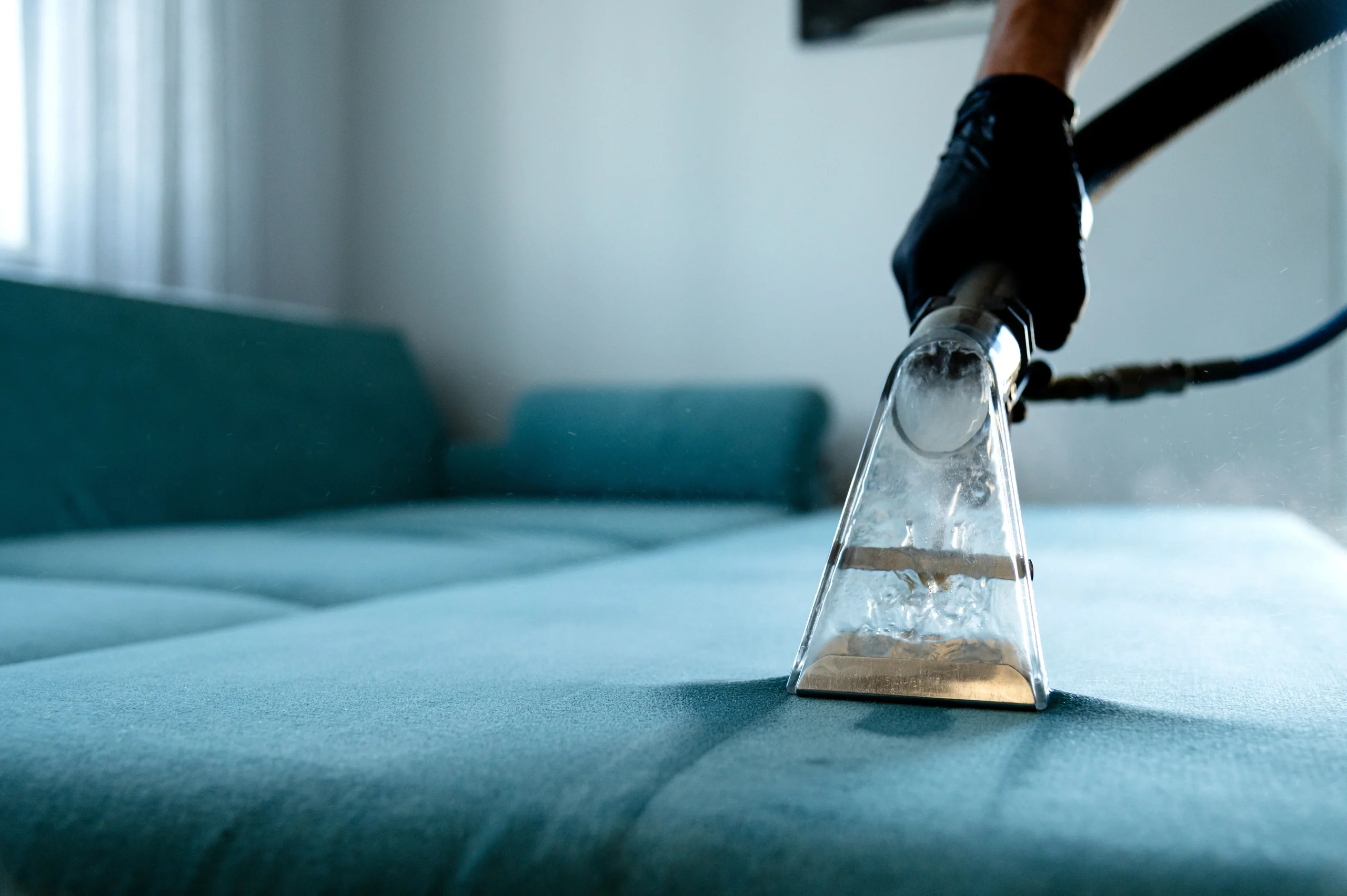 blue sofa cleaning