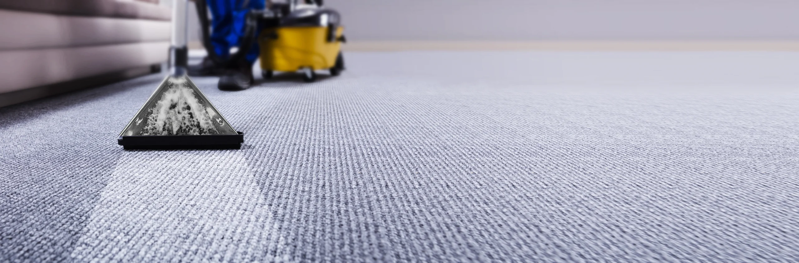 carpet cleaning