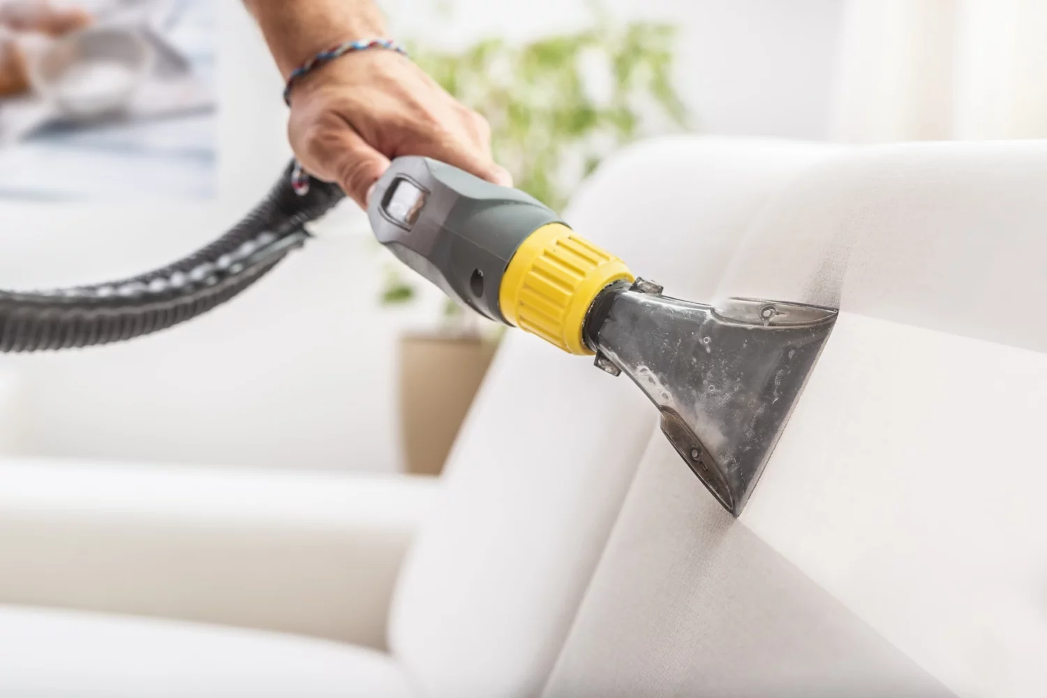white sofa cleaning