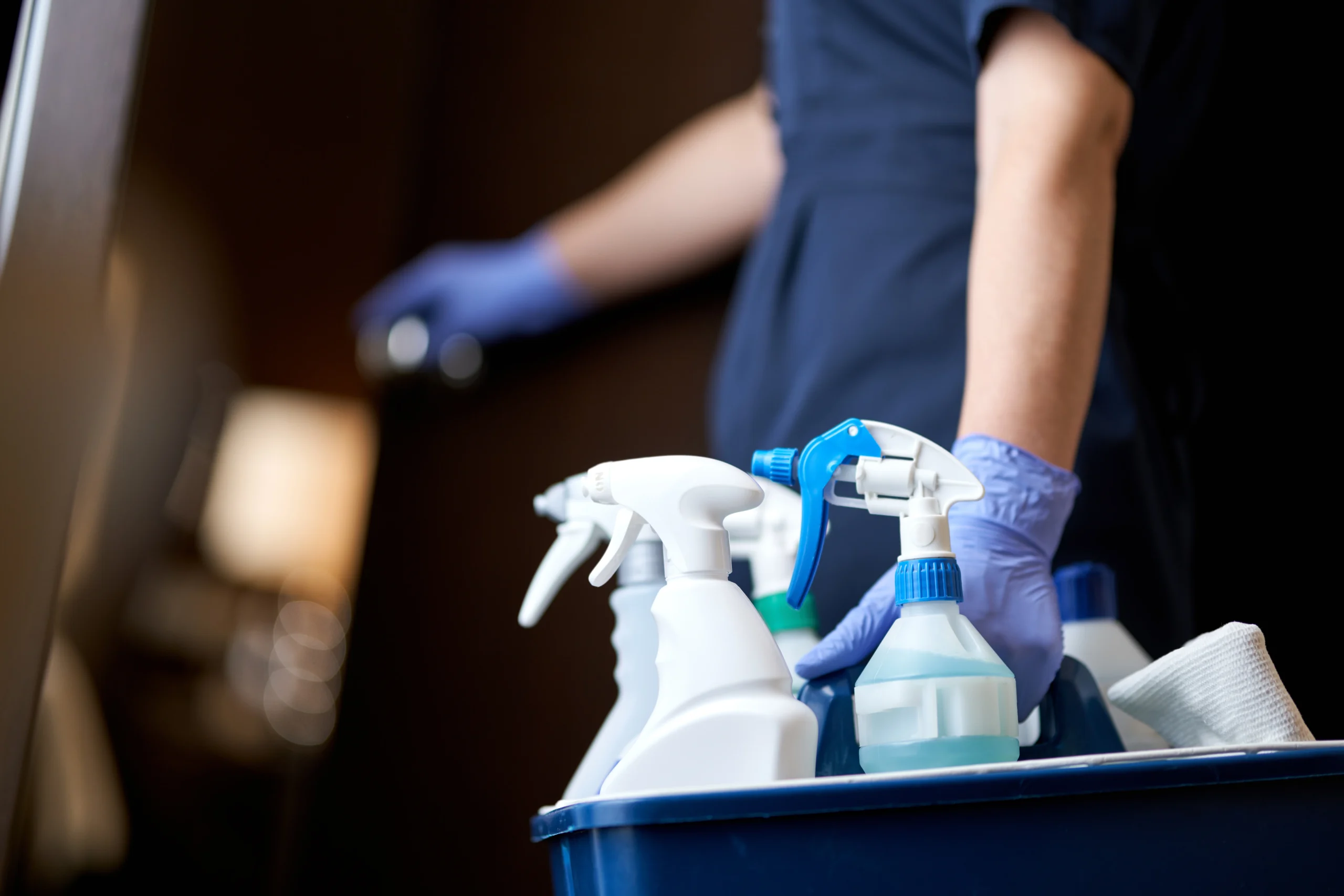 maid with cleaning tools
