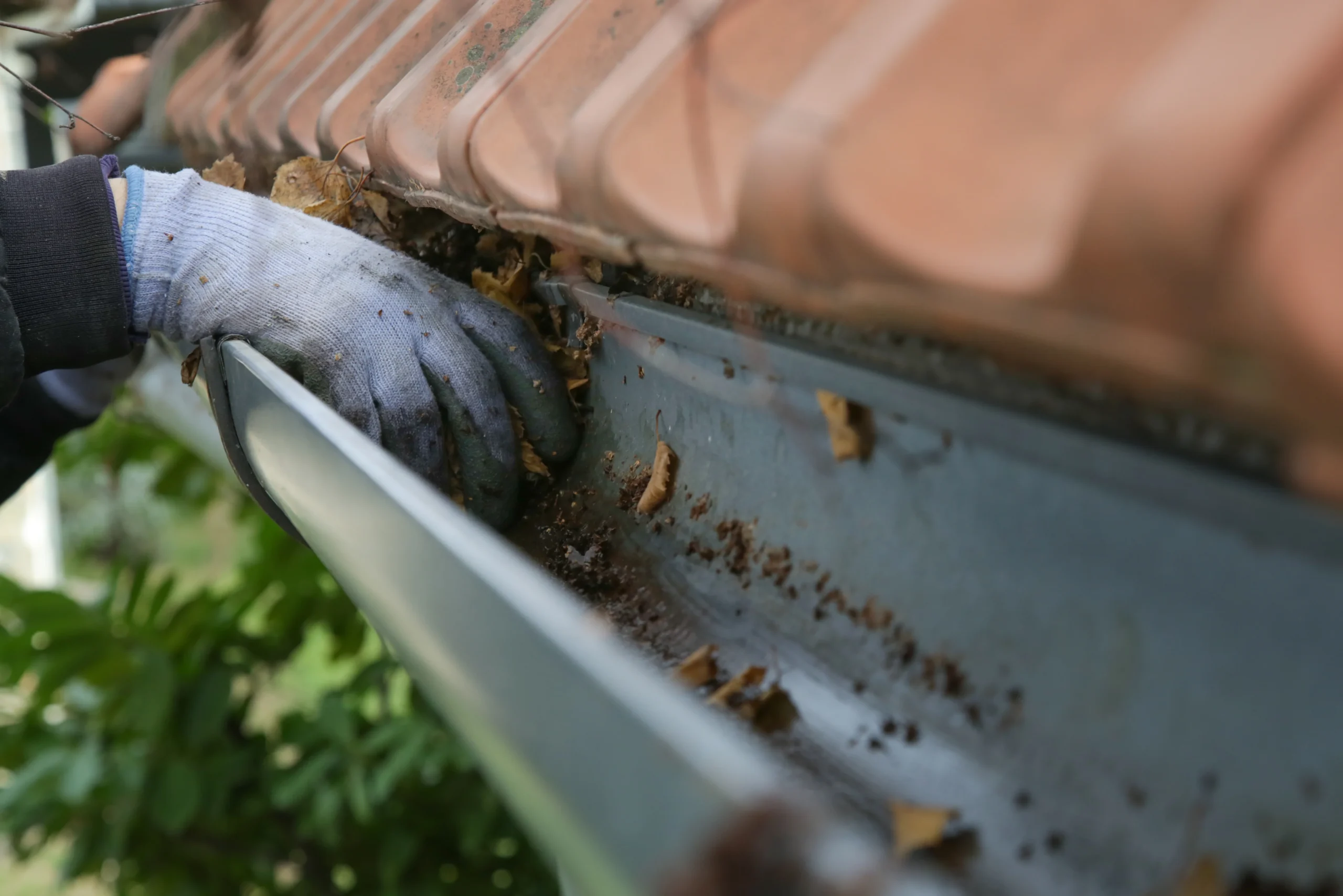 gutter cleaning