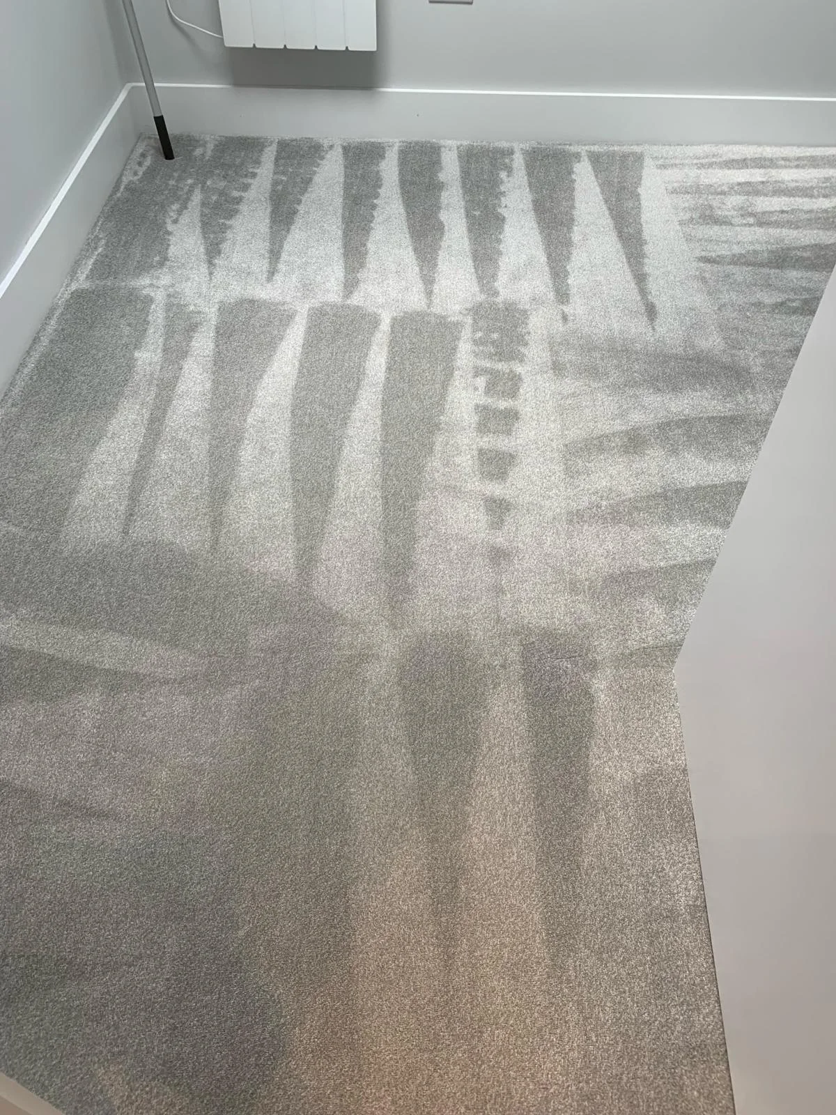 grey carpet after carpet cleaning service